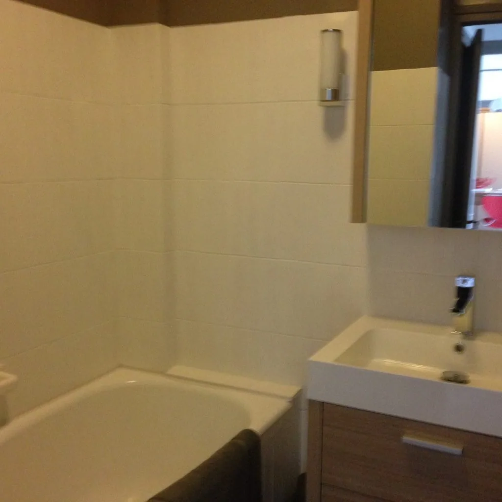Appartement à louer centre de Megève — photo 7