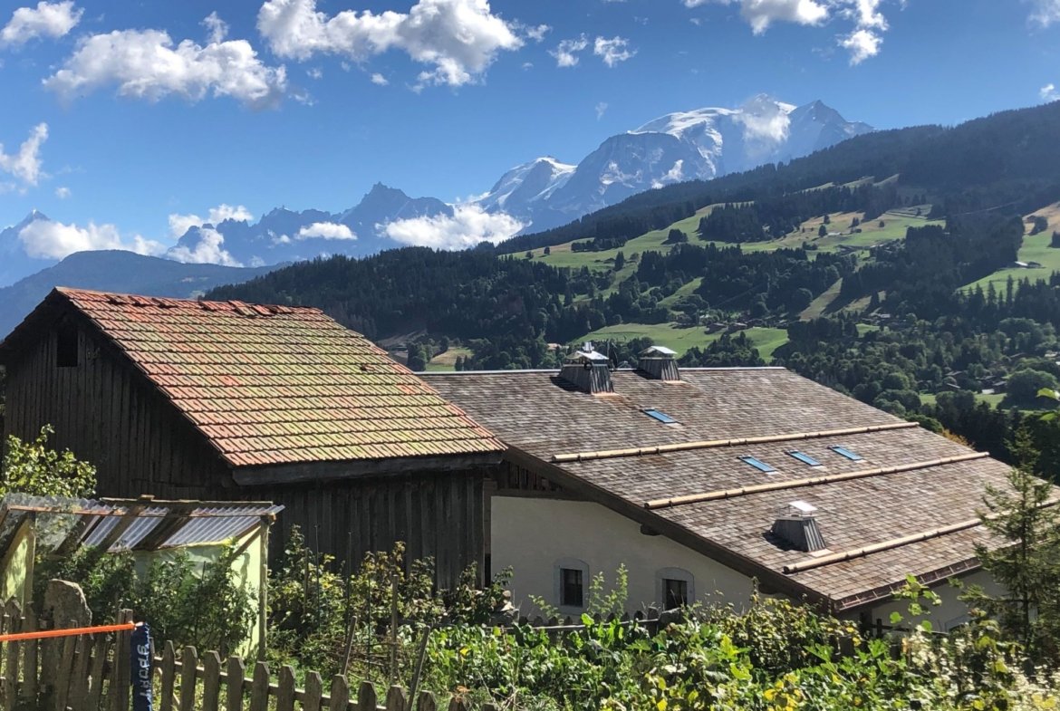 Appartement à louer Demi-Quartier vue Mont-Blanc — photo 13