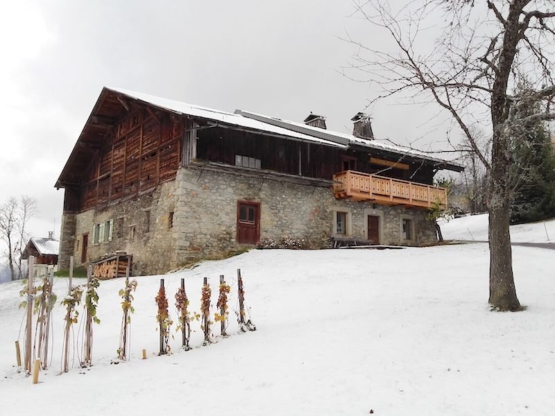 Appartement à louer Mont d'Arbois Megève — photo 2