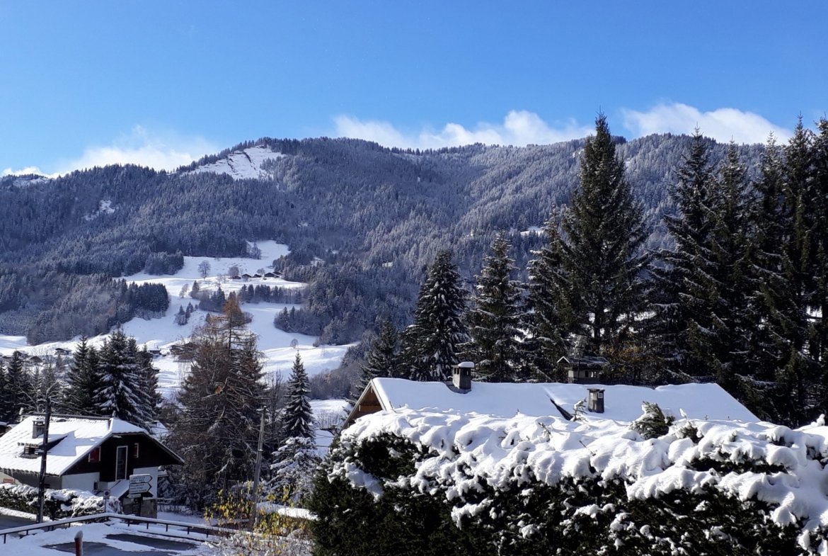 Charming, bright 2-room apartment for rent for the low season in Megève. - Photo 5