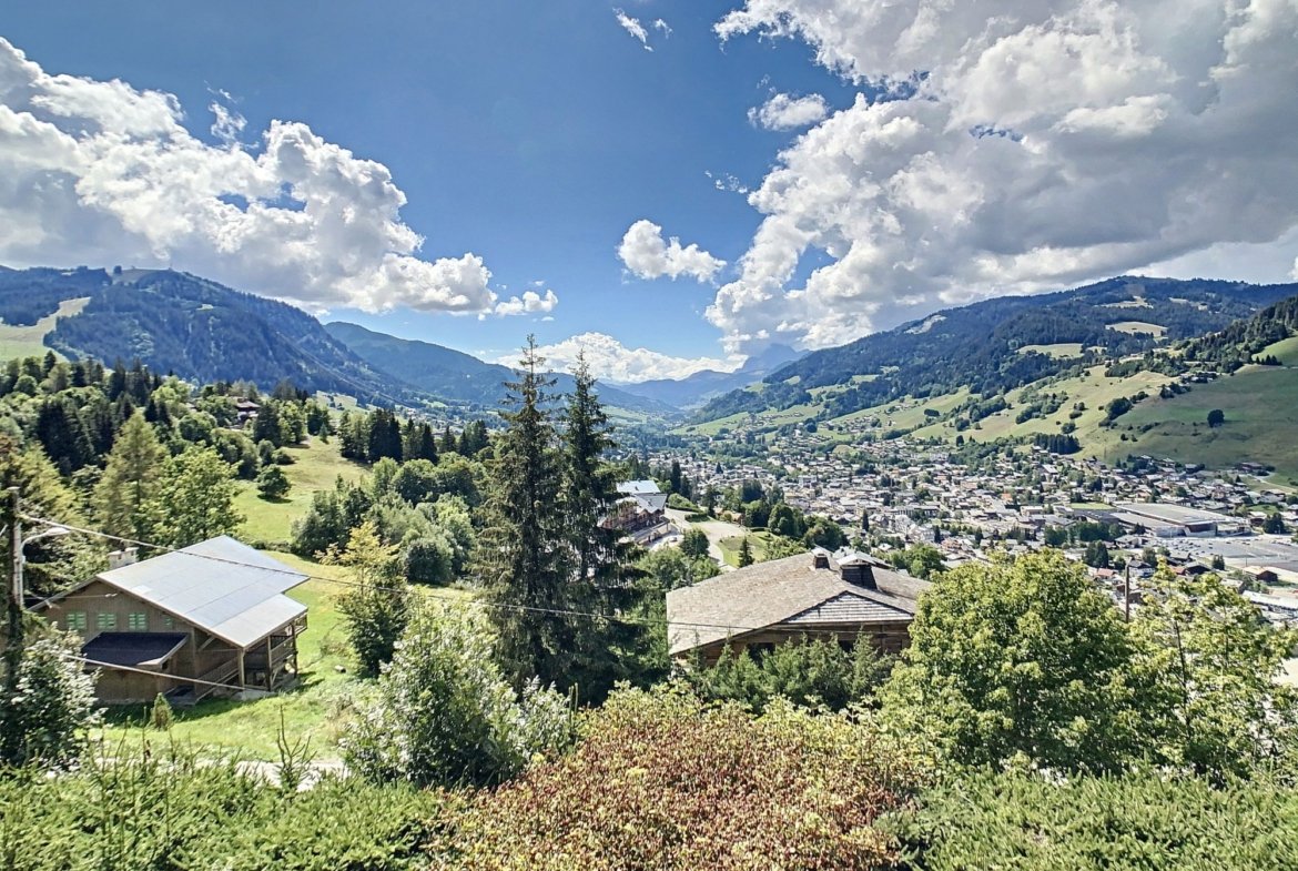 Appartement à louer Pettoreaux Megève — photo 8