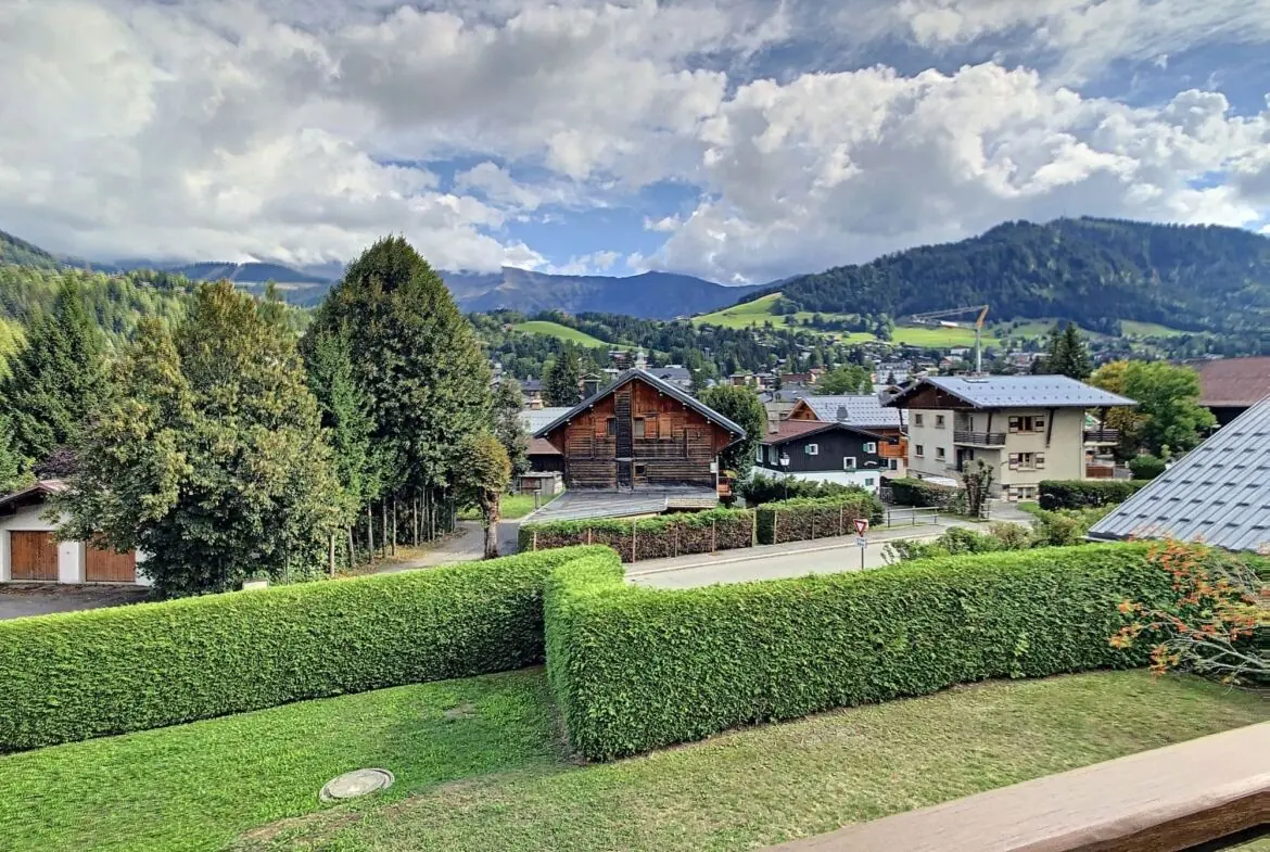 Appartement à louer Jaillet Megève — photo 11