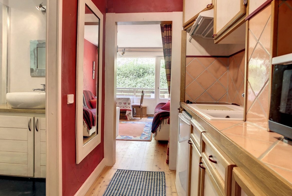 Studio à louer Jaillet Megève — photo 6