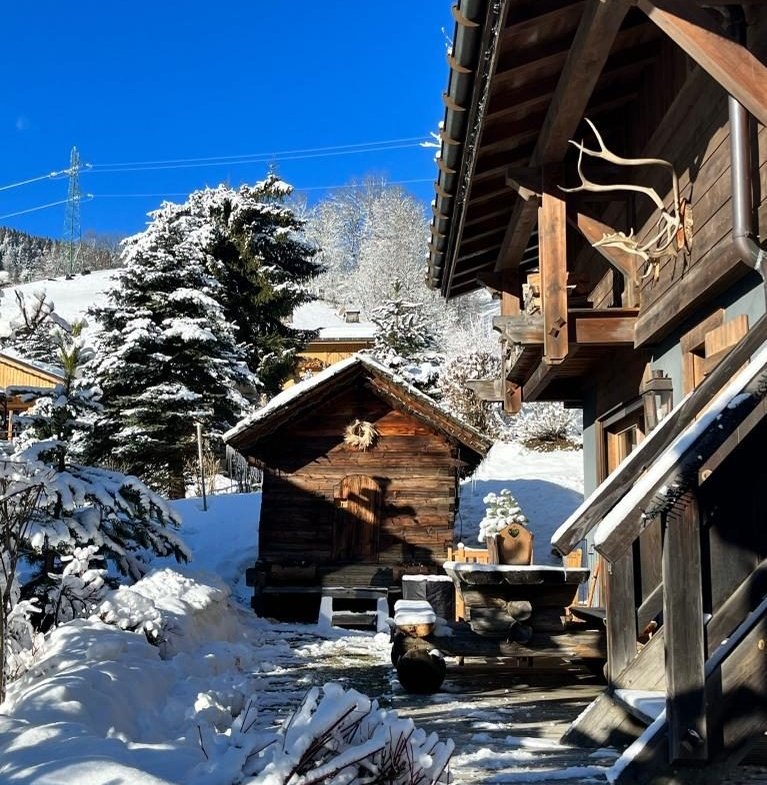 Contemporary chalet for rent in Megève. - Photo 13