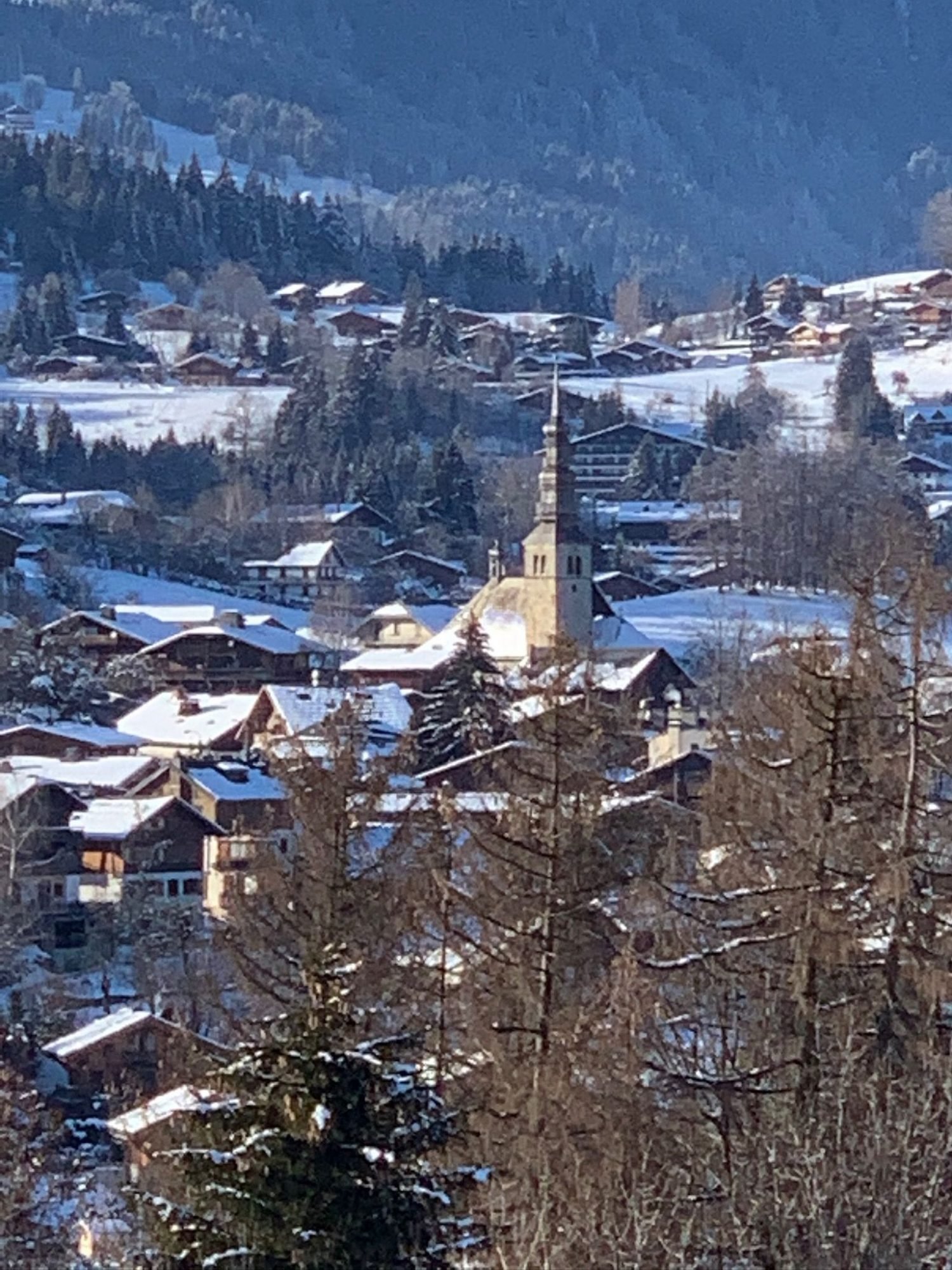 Large family chalet for 12 to 16 people, recently renovated, for rent in Combloux. – Photo 16 Large family chalet for 12 to 16 people, recently renovated, for rent in Combloux. - Photo 16