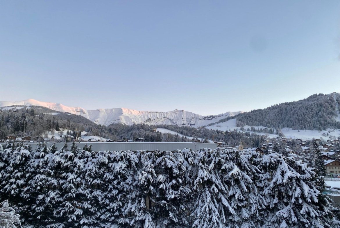 Appartement à louer Jaillet Megève — photo 13