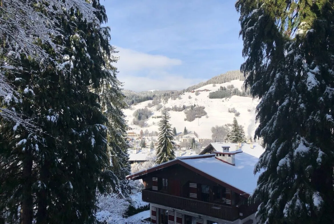 Appartement à louer centre de Megève — photo 11