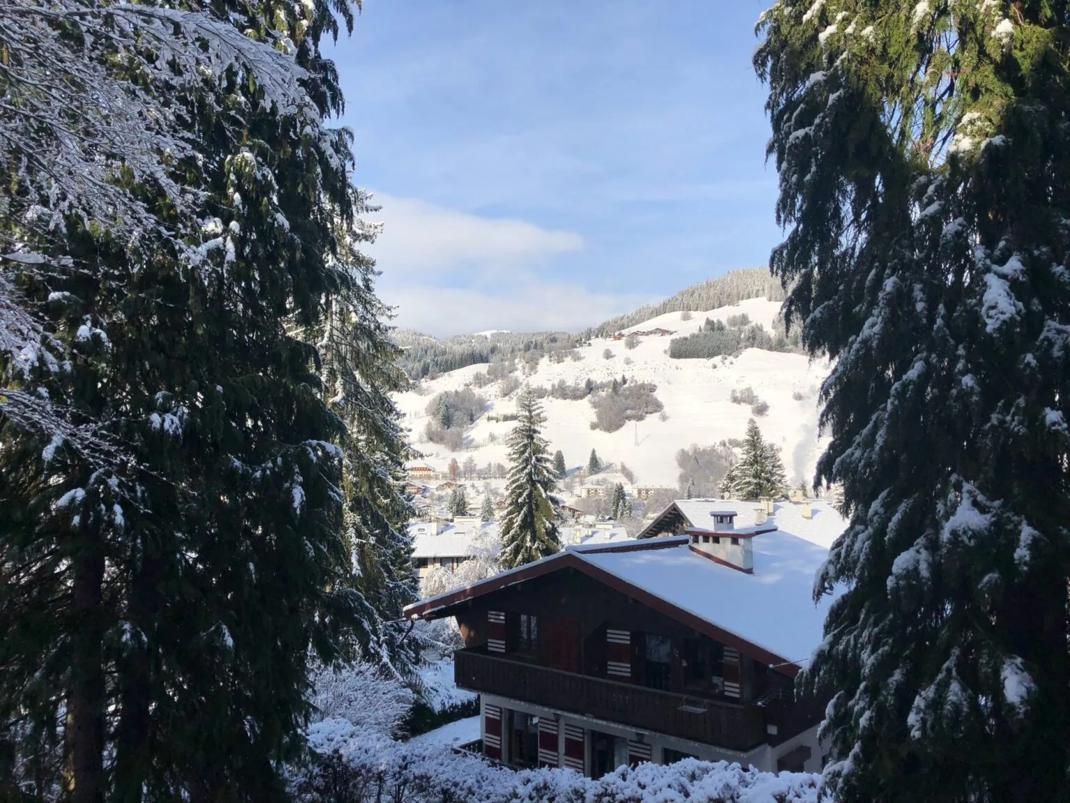 Appartement à louer centre de Megève — photo 11