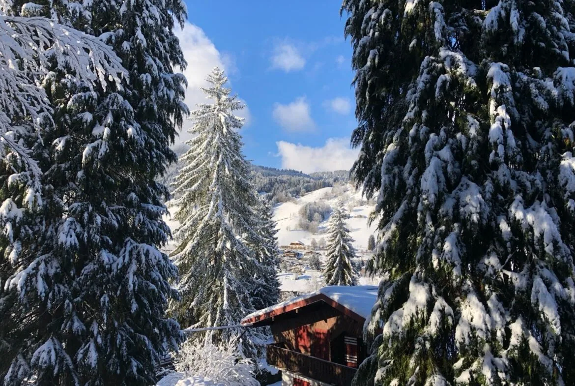 Appartement à louer centre de Megève — photo 12