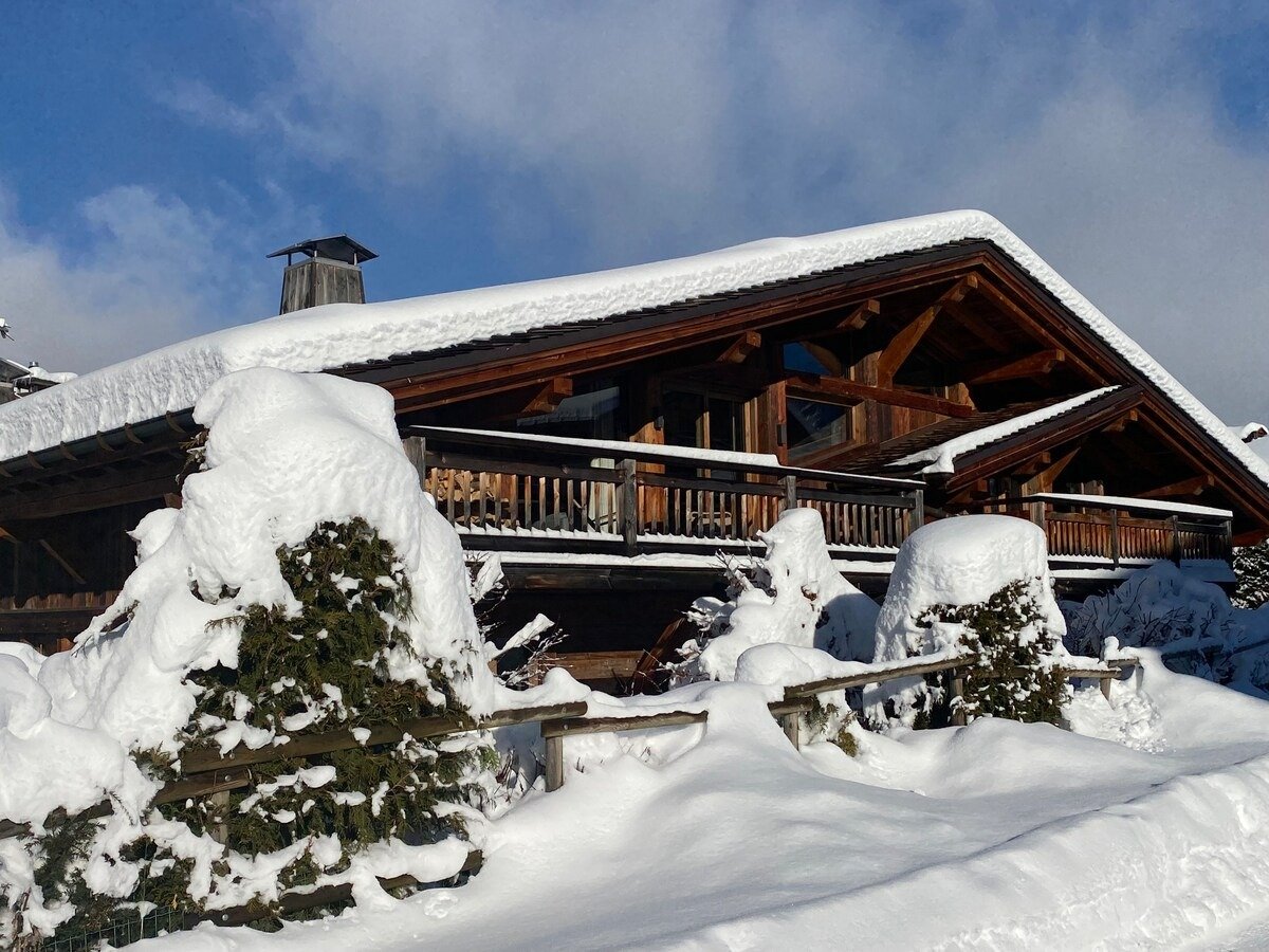 Chalet de luxe Rochebrune