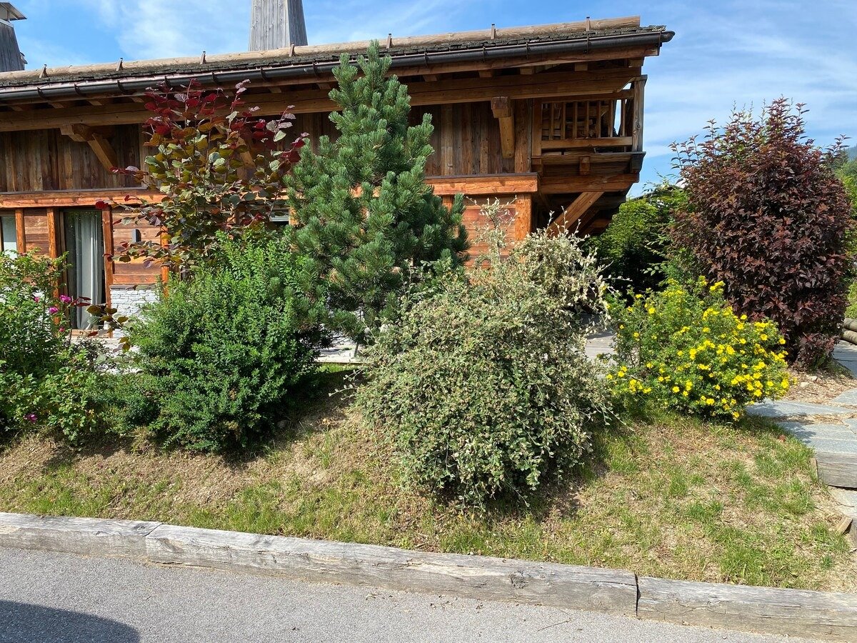 Chalet de luxe Rochebrune