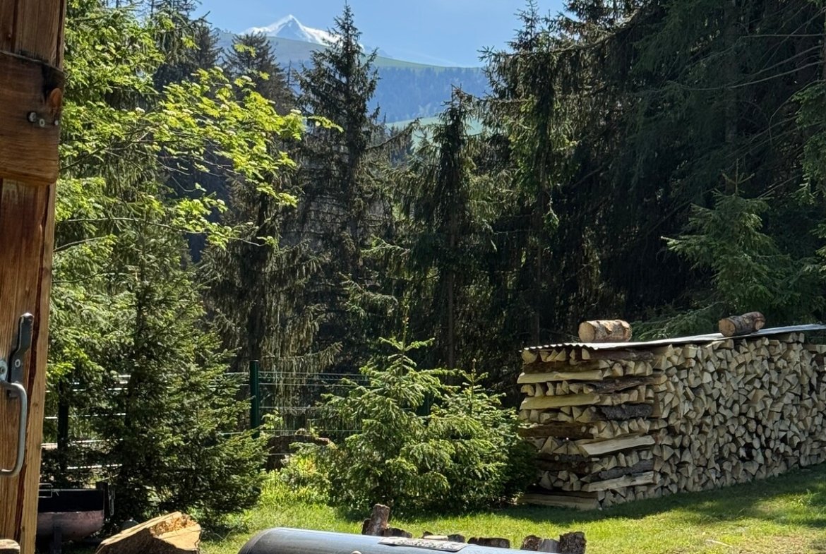 Chalet Caroline