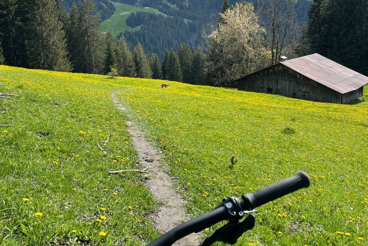 Chalet Caroline