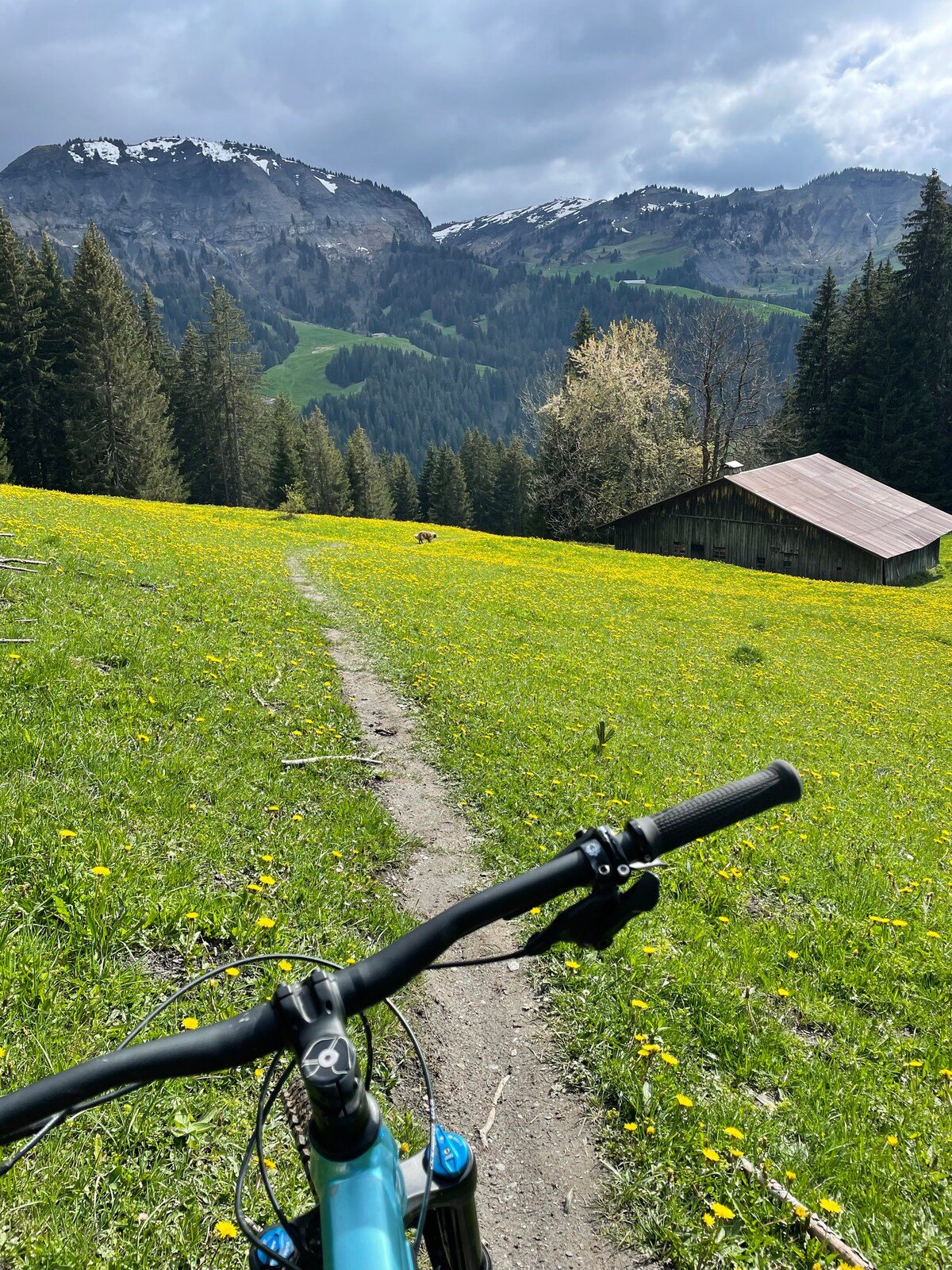 Chalet Caroline