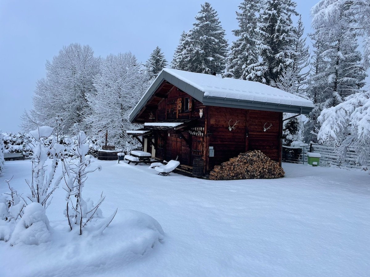 Chalet Caroline