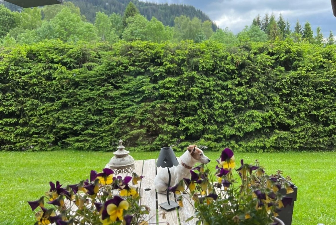 Chalet Caroline