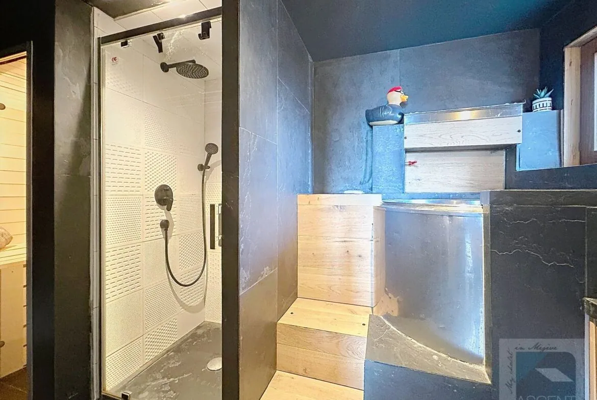 Appt Comblours - Salle de bain, sauna et bain froid