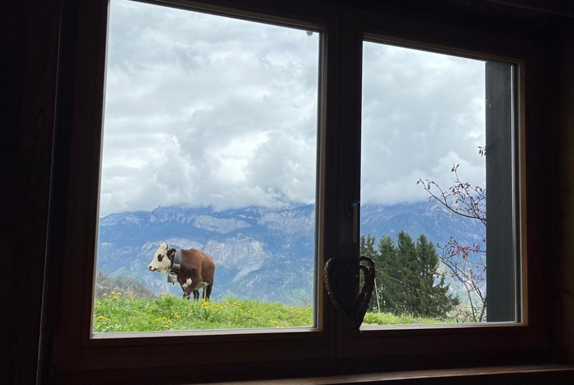 Duplex Le Perret / Horizon Mont-Blanc