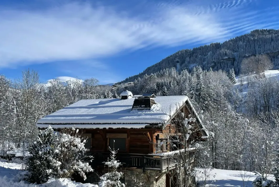 Vue sur les montagnes depuis le chalet — Chalet Roc et Soleil, location saisonnière à Megève